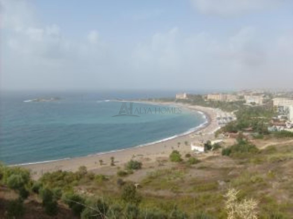 Okurcalar