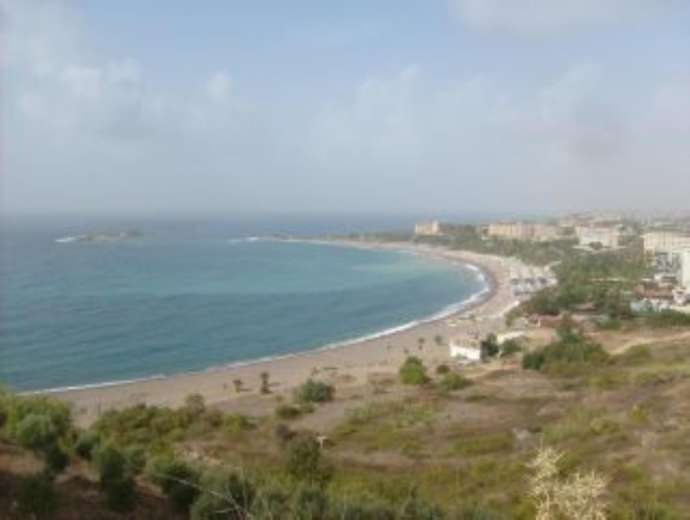 Okurcalar